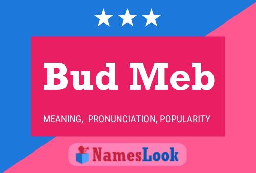 Bud Meb 名字海报