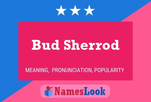 Bud Sherrod 名字海报