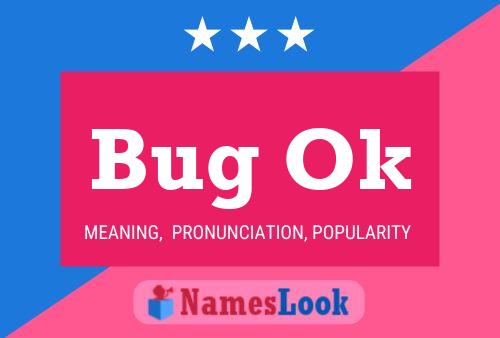 Bug Ok 名字海报