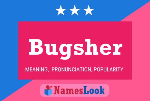 Bugsher 名字海报