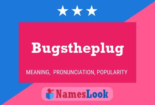 Bugstheplug 名字海报