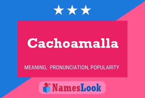 Cachoamalla 名字海报