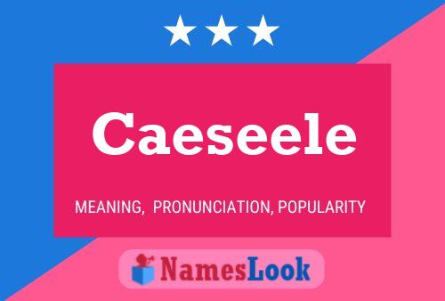 Caeseele 名字海报