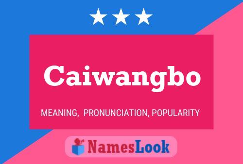 Caiwangbo 名字海报