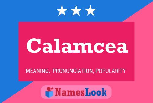 Calamcea 名字海报