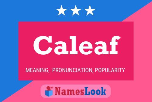 Caleaf 名字海报