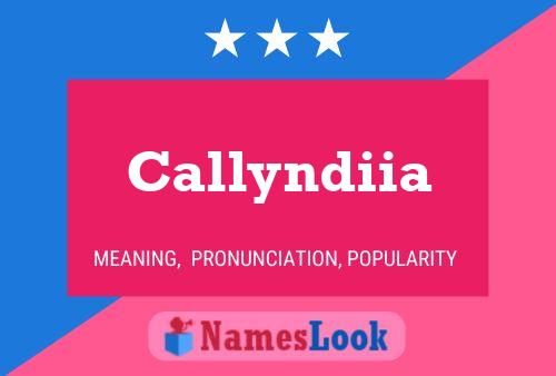 Callyndiia 名字海报