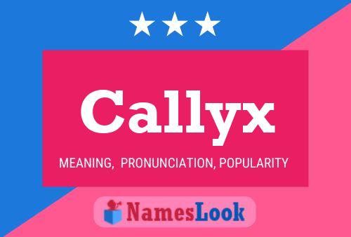 Callyx 名字海报