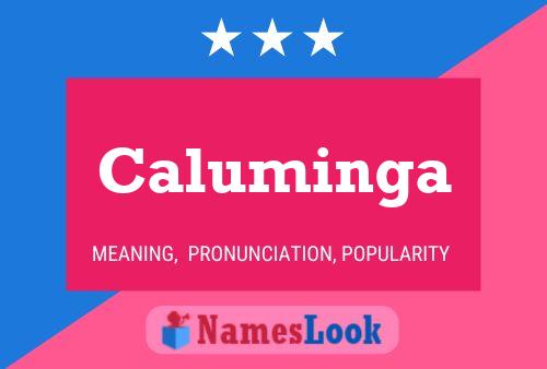 Caluminga 名字海报