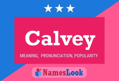 Calvey 名字海报