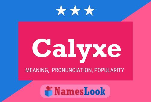 Calyxe 名字海报