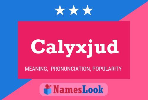 Calyxjud 名字海报