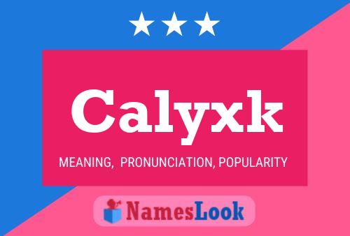 Calyxk 名字海报