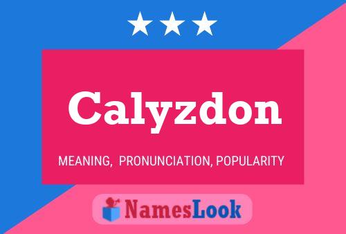 Calyzdon 名字海报