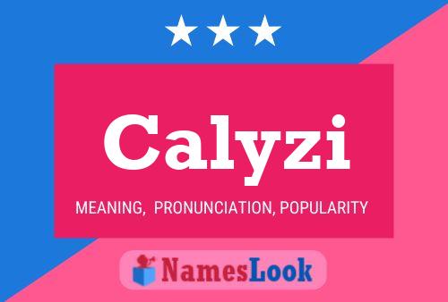 Calyzi 名字海报