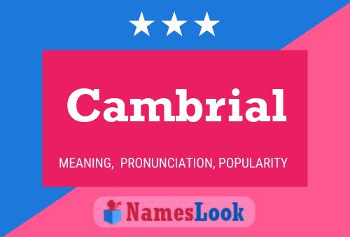 Cambrial 名字海报