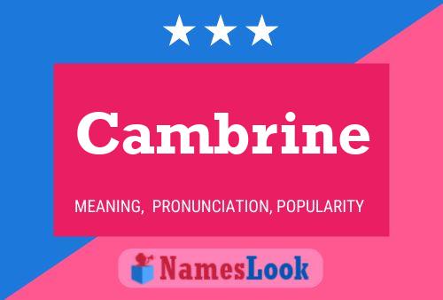 Cambrine 名字海报