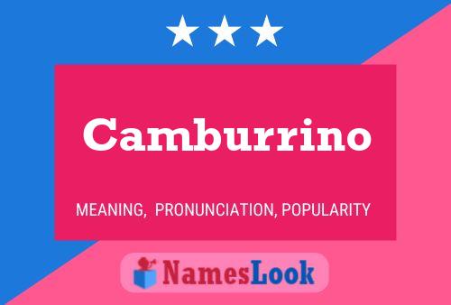 Camburrino 名字海报