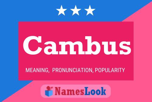 Cambus 名字海报