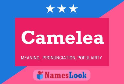 Camelea 名字海报