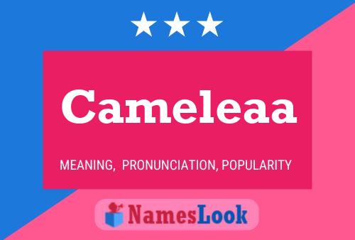 Cameleaa 名字海报