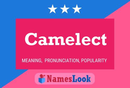 Camelect 名字海报