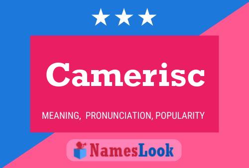 Camerisc 名字海报