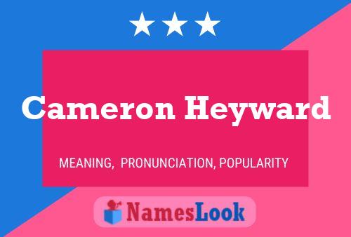 Cameron Heyward 名字海报