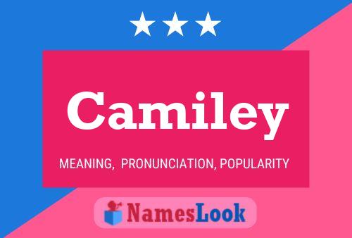 Camiley 名字海报