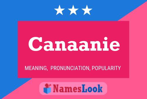 Canaanie 名字海报