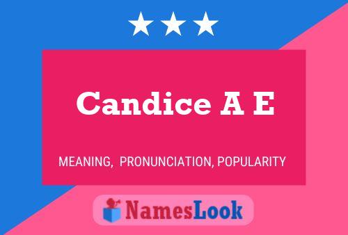 Candice A E 名字海报