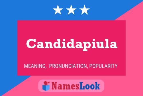 Candidapiula 名字海报