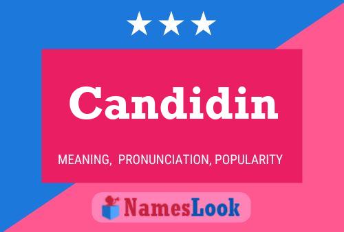 Candidin 名字海报