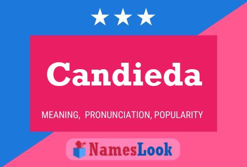 Candieda 名字海报