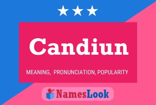 Candiun 名字海报