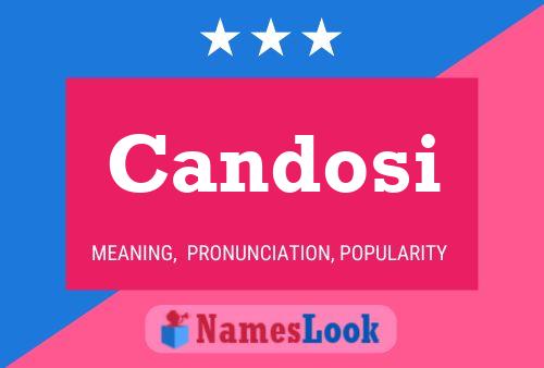 Candosi 名字海报