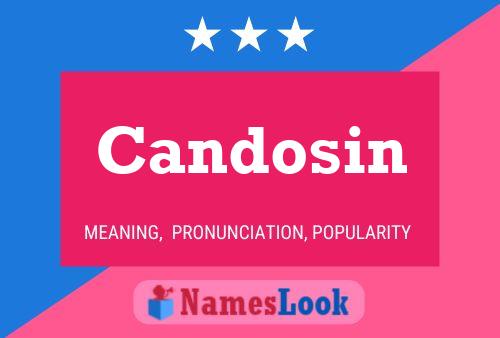 Candosin 名字海报