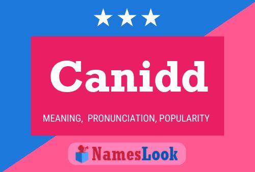 Canidd 名字海报