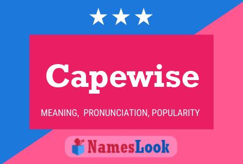 Capewise 名字海报