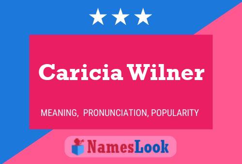 Caricia Wilner 名字海报