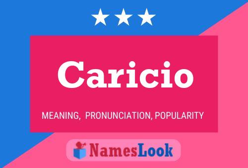 Caricio 名字海报