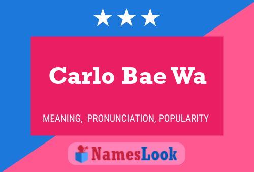 Carlo Bae Wa 名字海报