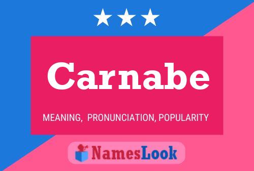 Carnabe 名字海报