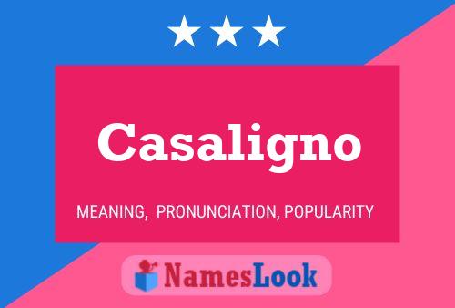 Casaligno 名字海报