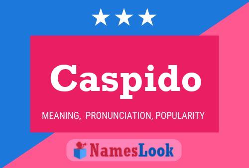 Caspido 名字海报