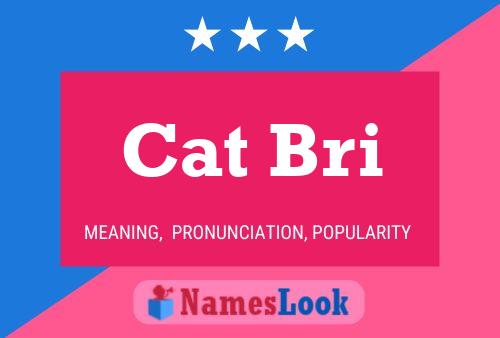 Cat Bri 名字海报