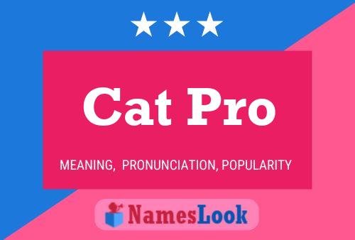 Cat Pro 名字海报