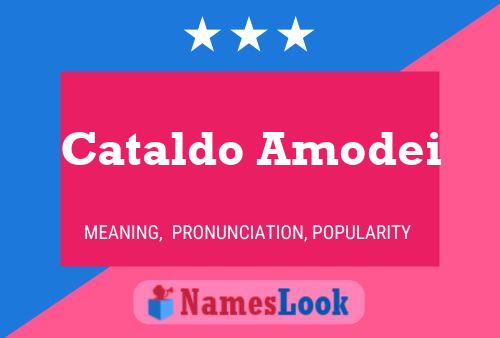 Cataldo Amodei 名字海报