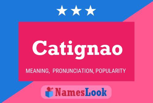 Catignao 名字海报