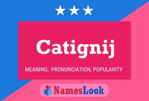 Catignij 名字海报